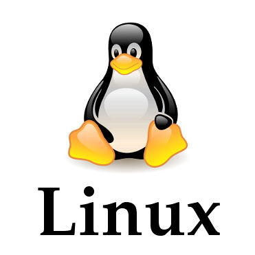 Set Up VPN on Linux